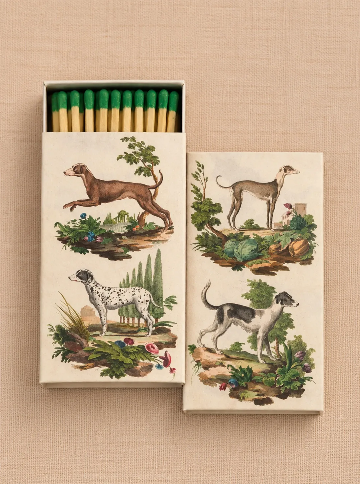 ITALIAN DOGS MATCHES