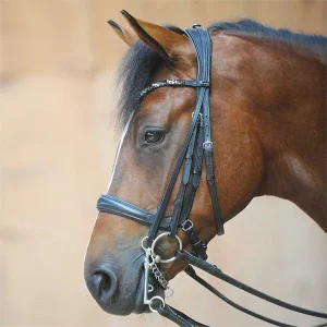 Ivonne Convertible Bridle