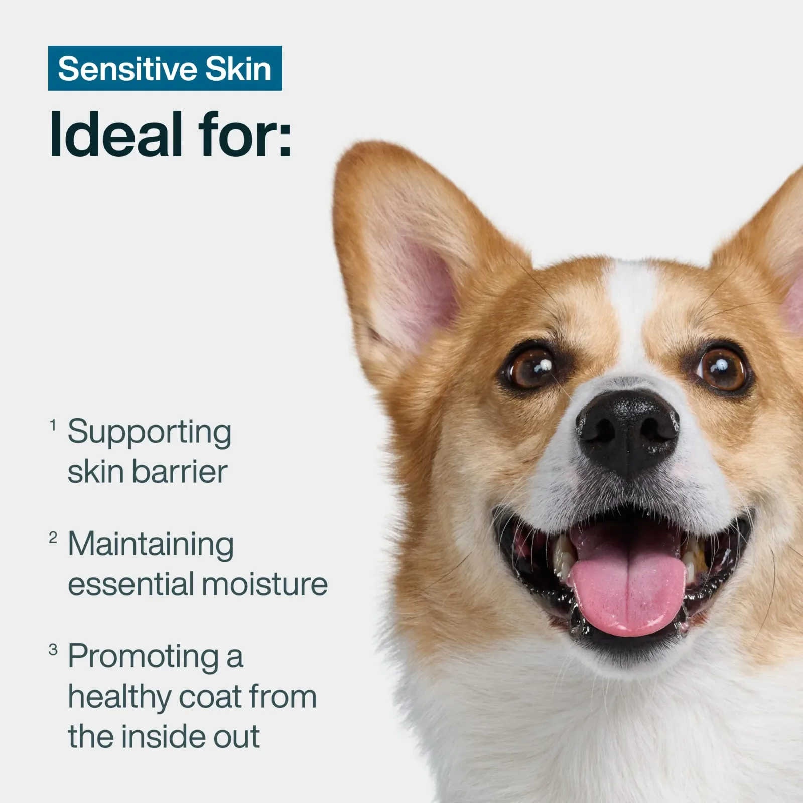 JustFresh Boost Meal Topper for Sensitive Skin - Image 2