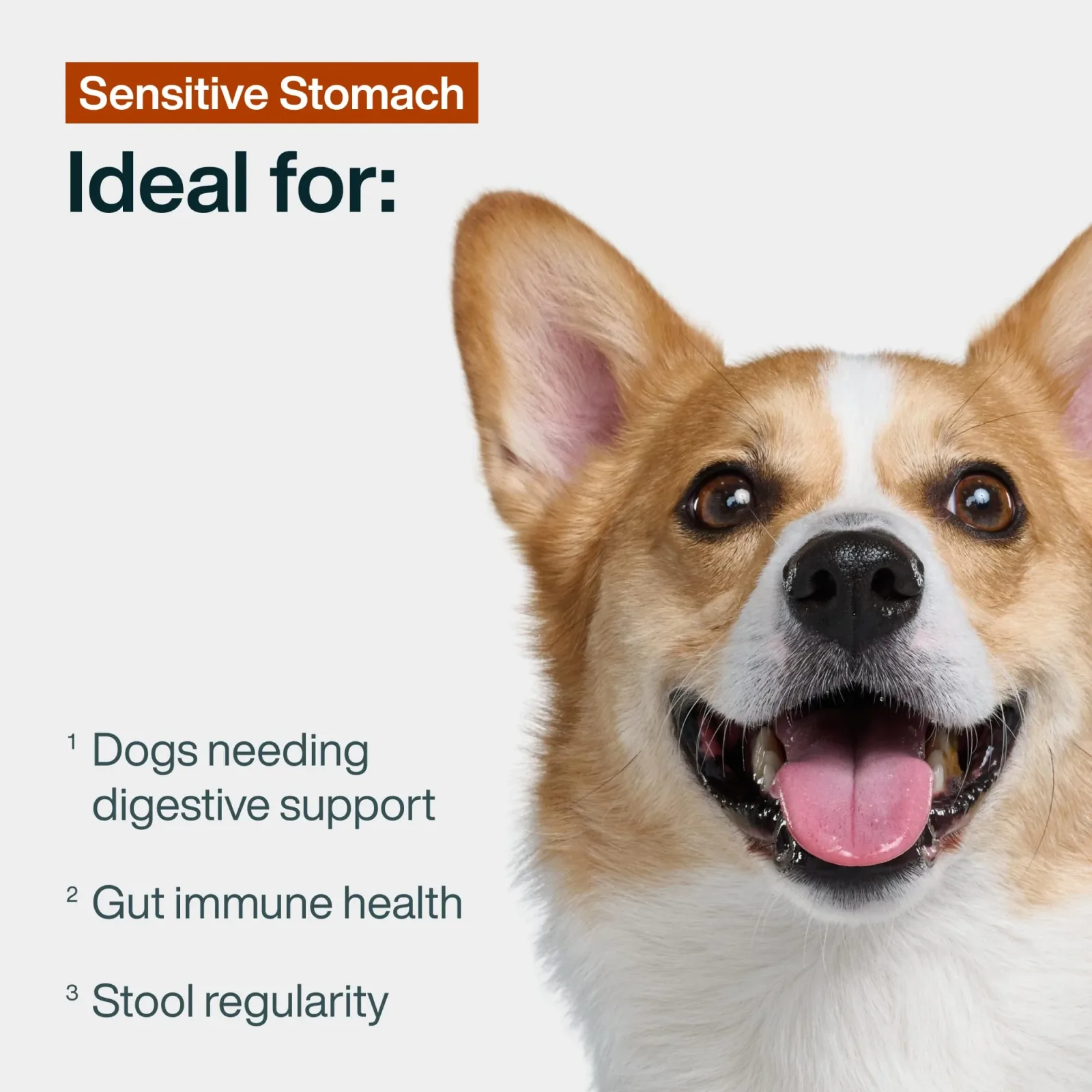 JustFresh Boost Meal Topper for Sensitive Stomachs - Image 2