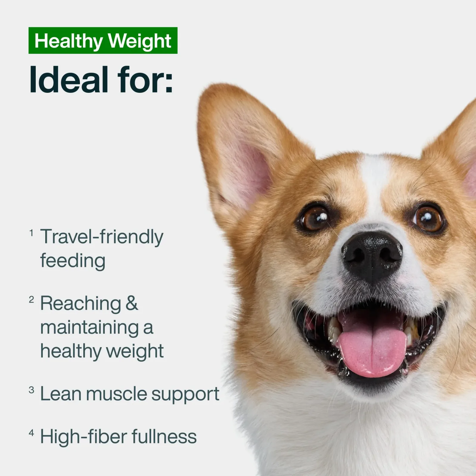 JustFresh Healthy Weight - Image 2