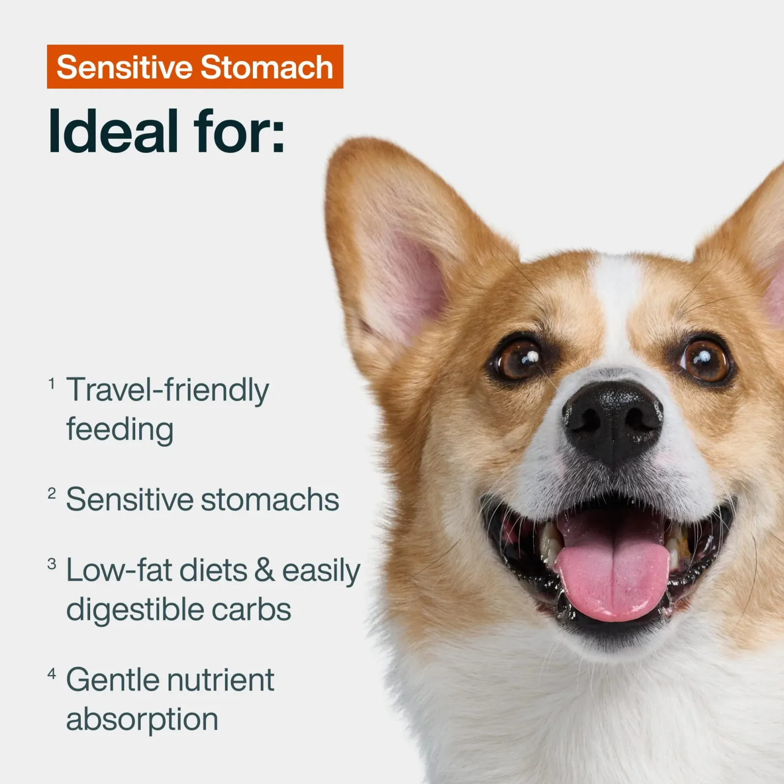 JustFresh Sensitive Stomach - Image 2