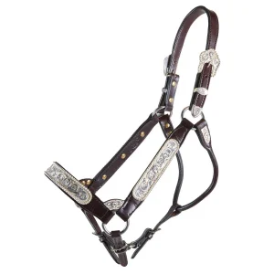 Kathys Show Equipment 255 Congress Cut Santana Halter