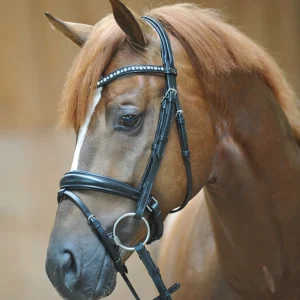 Kavalkade Mia Draft Bridle