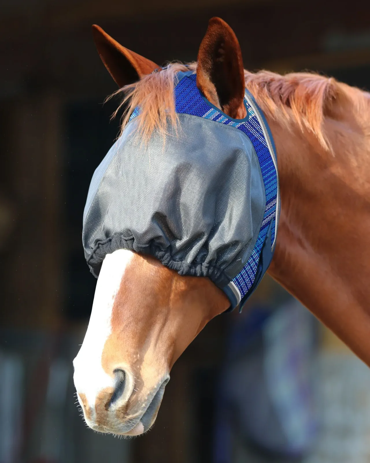 Kensington™ UViator Dartless Fly Mask with Web Trim & Forelock Opening