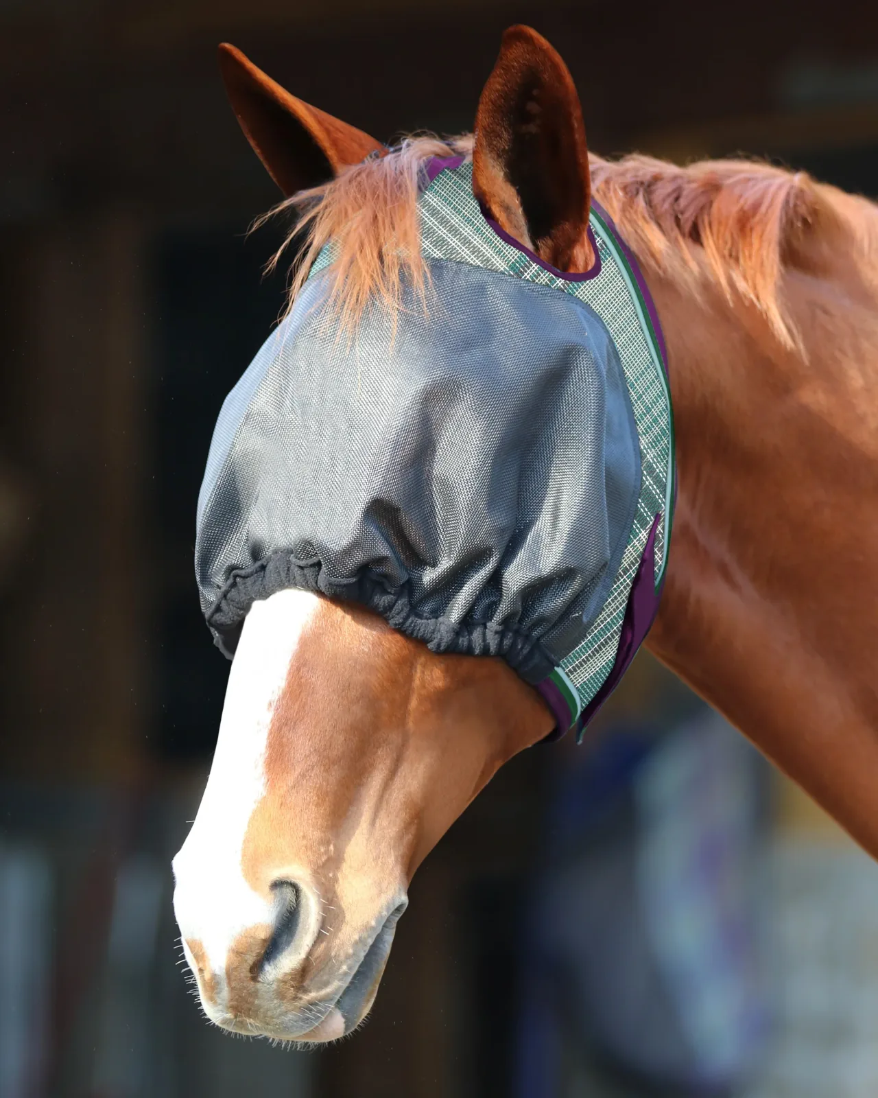 Kensington™ UViator Dartless Fly Mask with Web Trim & Forelock Opening - Image 2