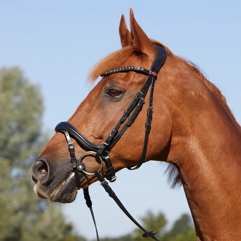 Kieffer Rachel Anatomical Bridle