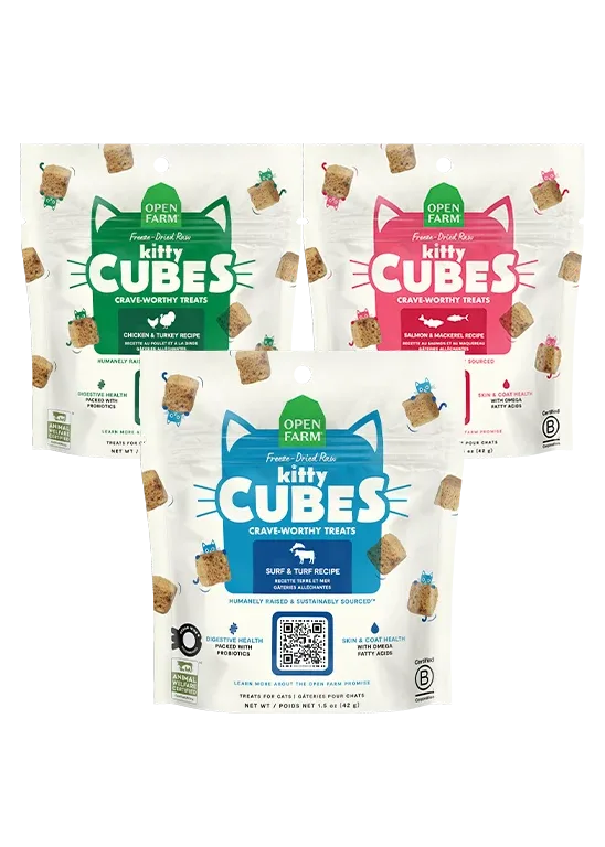 Kitty Cube Treats Variety Pack for Cats