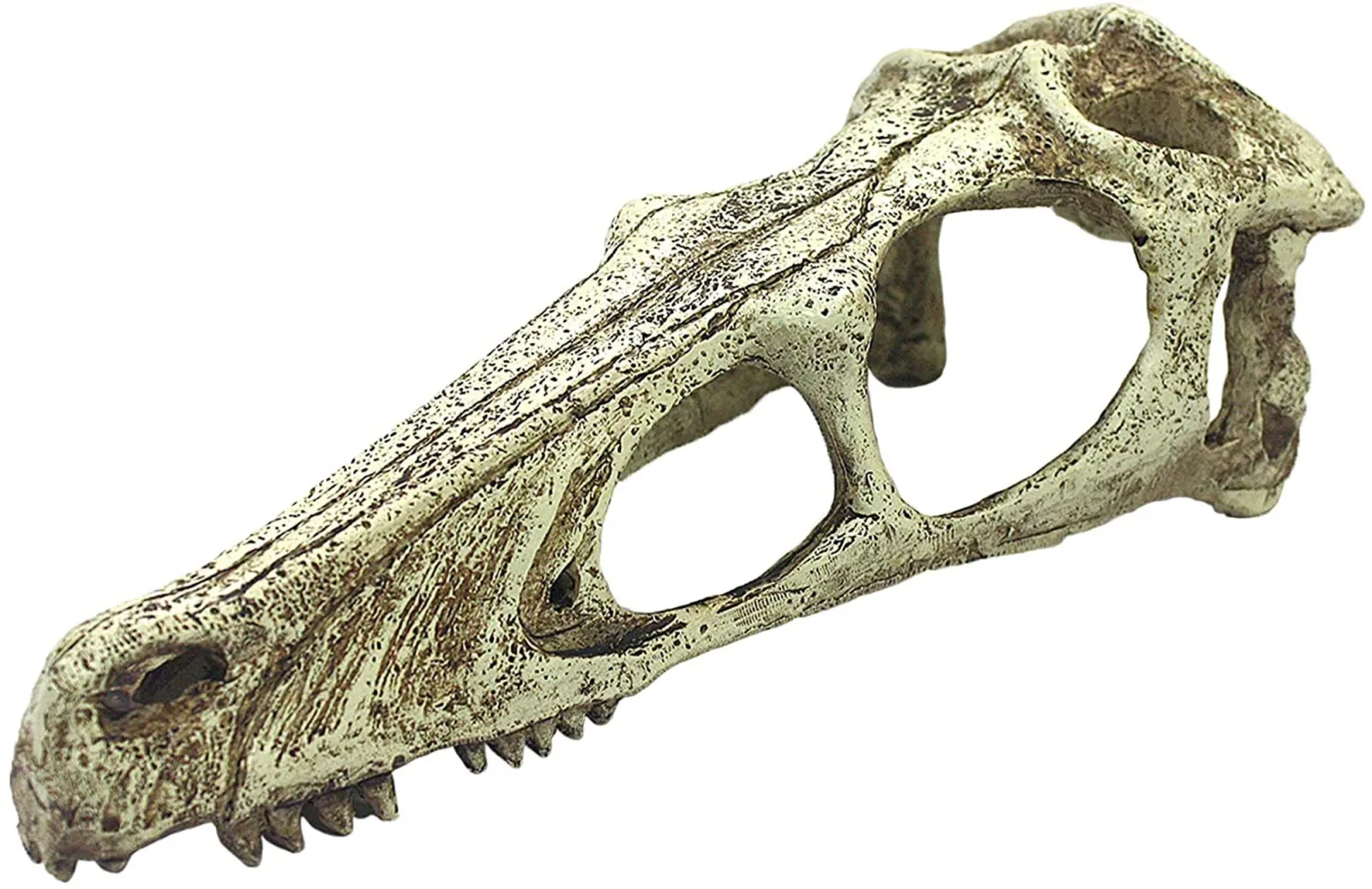 Komodo Raptor Skull Reptile Hideout, Tan Large