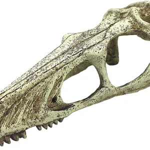 Komodo Raptor Skull Reptile Hideout, Tan X-Large