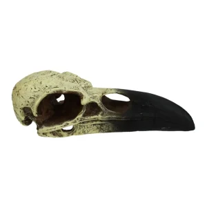 Komodo Raven Skull Hideout, Medium, 6 in