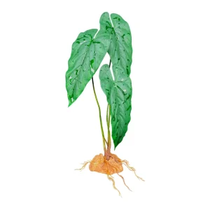 Komodo Standing Plant Emerald Vine, 18 in