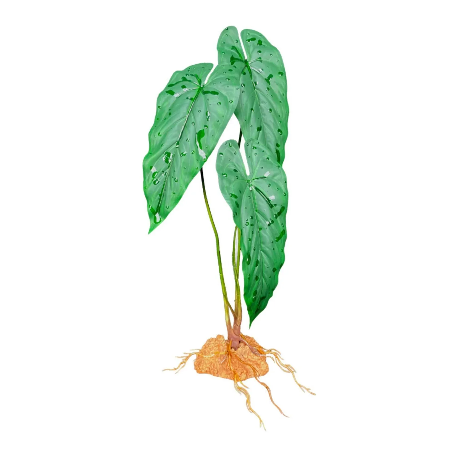 Komodo Standing Plant Emerald Vine, 18 in