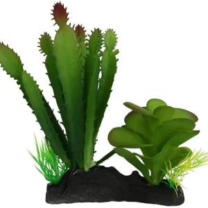 Komodo Succulent and Cactus Habitat Ornament