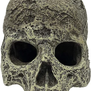 Komodo Textured Human Skull Reptile Hideout Gray