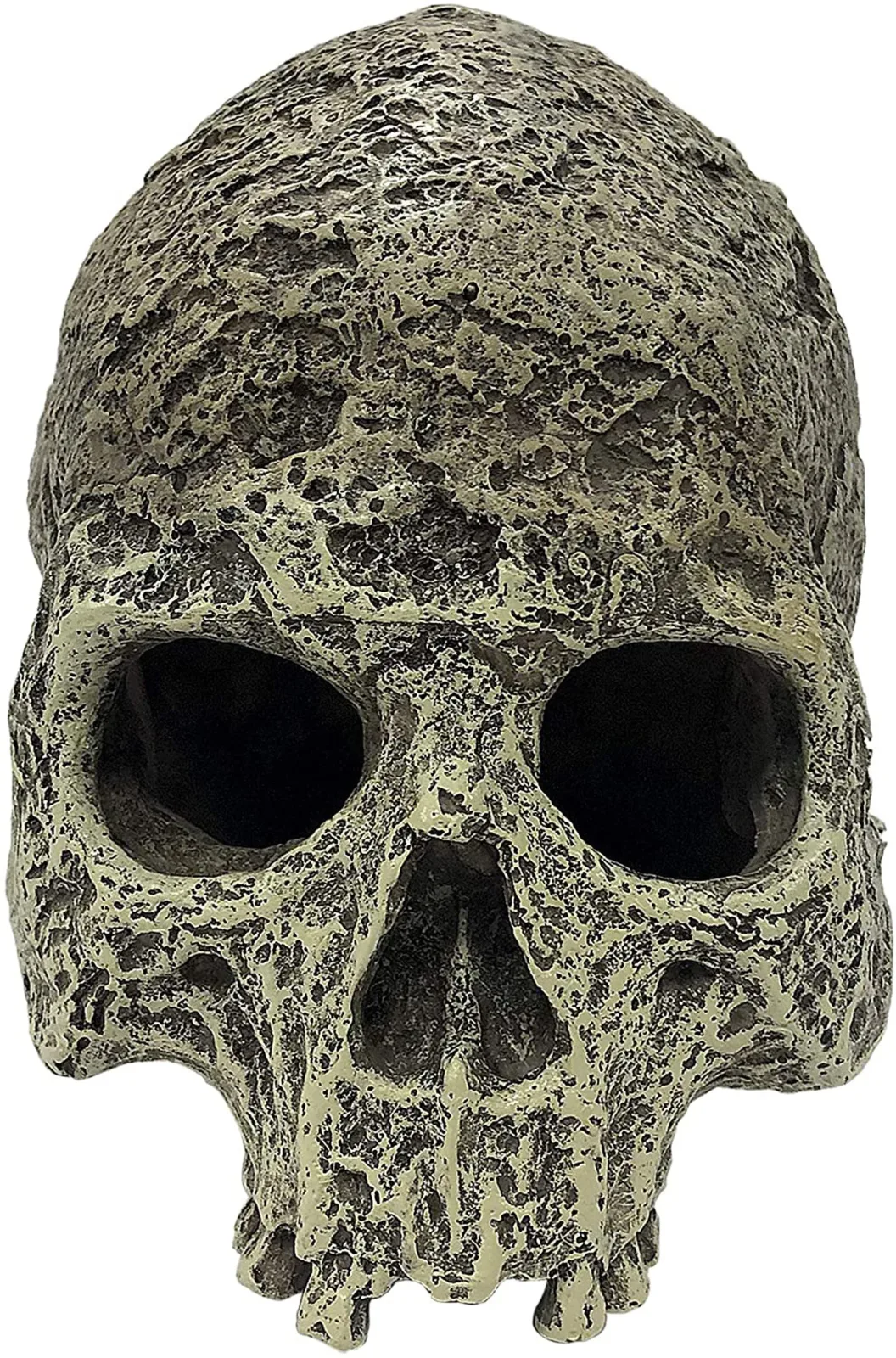 Komodo Textured Human Skull Reptile Hideout Gray