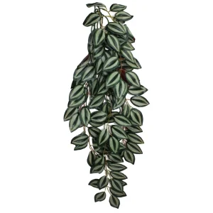 Komodo Zebrina Hanging Plant Large 26 in - Terrarium Aquarium Background Decor