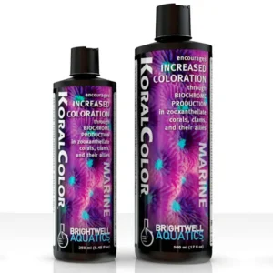 KoralColor - Encorages Increased Coloration in Corals (500 ML) - Brightwell
