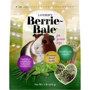 Lafeber Company Berrie-Bale for Guinea Pigs Mint 1 lb