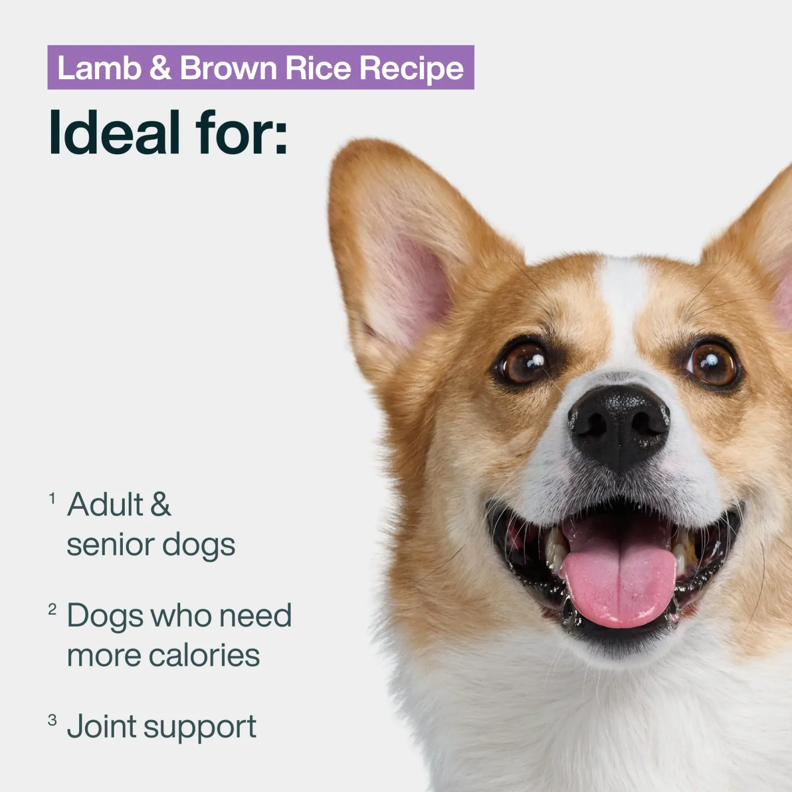 Lamb & Brown Rice - Image 2