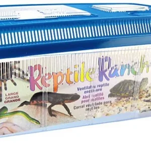 Lees Reptile Ranch - Large - 18"L x 12"W x 7"H