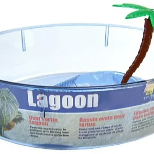 Lees Turtle Lagoon - Assorted Shapes