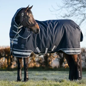 LeMieux® Arika Storm-Tek 350 Gram Turnout Blanket with Leg Straps