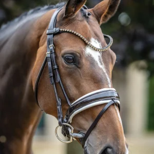 LeMieux® Kudos Patent Leather Dressage Bridle