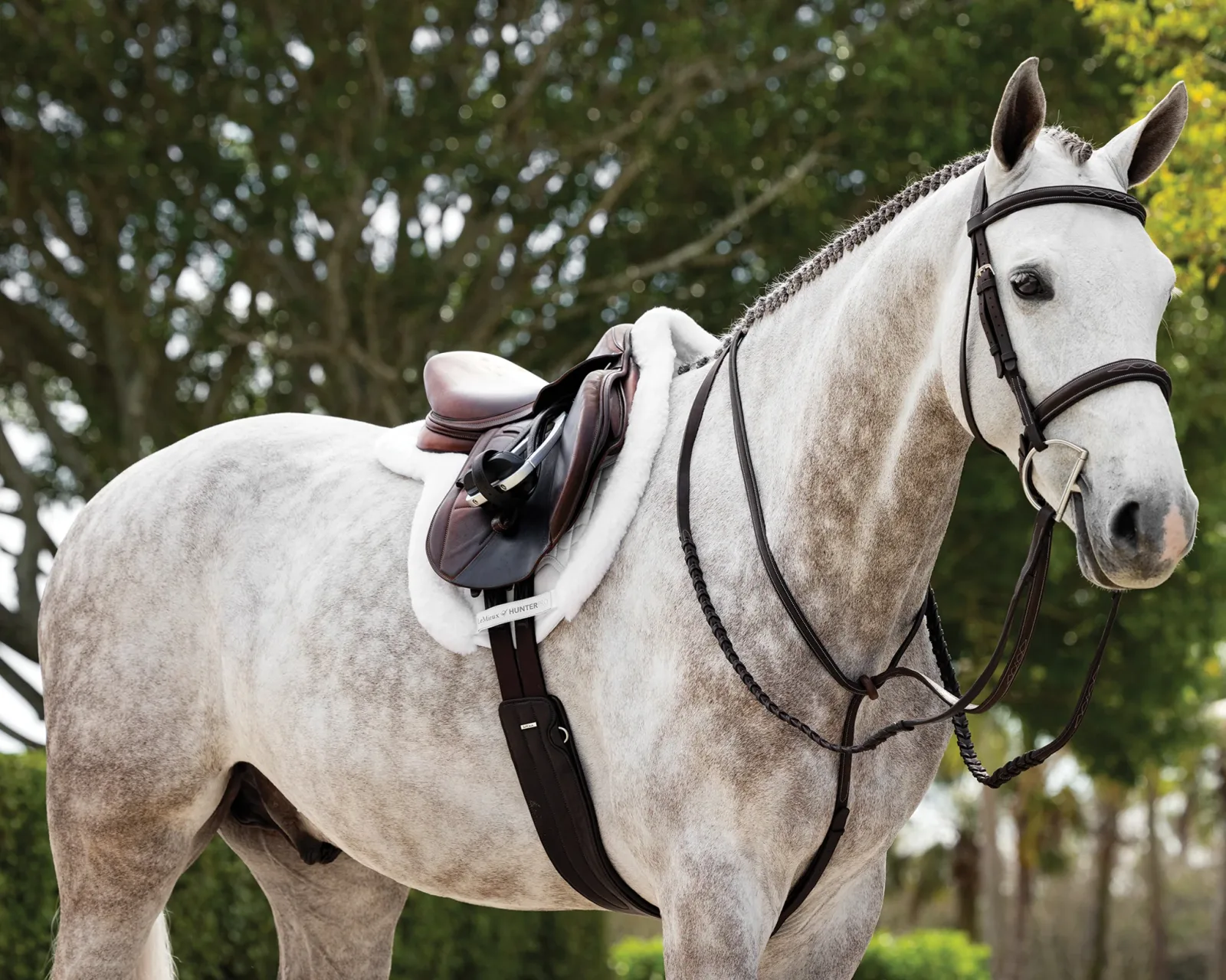 LeMieux® Merino+ ProSorb Hunter Saddle Pad - Image 2