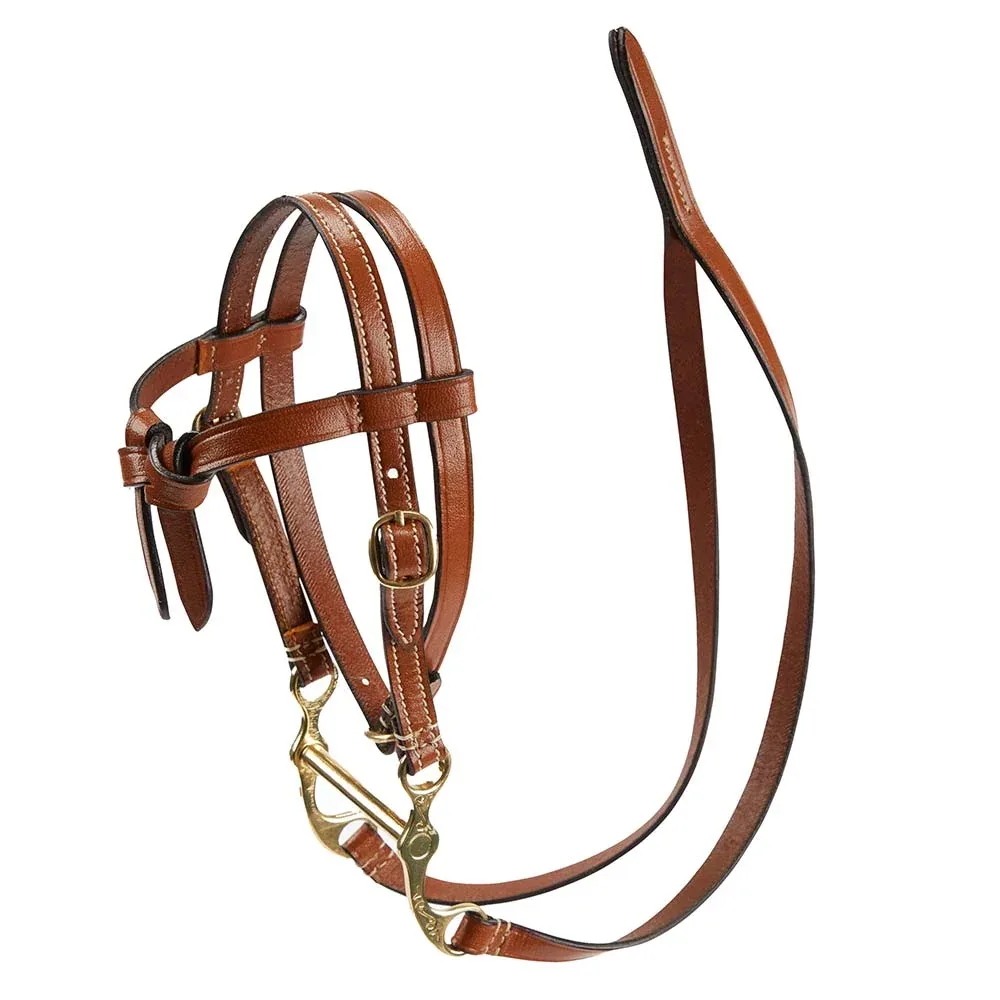Lemieux Mini Pony Western Bridle - Brown - Image 2