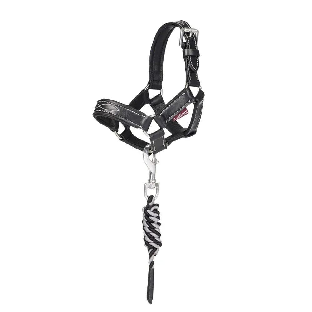 Lemieux Toy Pony Leather Headcollar & Leadrope Black