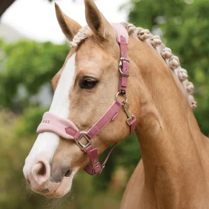 LeMieux® Vogue Halter & Rope Lead Set