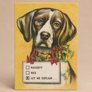 LET ME EXPLAIN HOLIDAY CARD