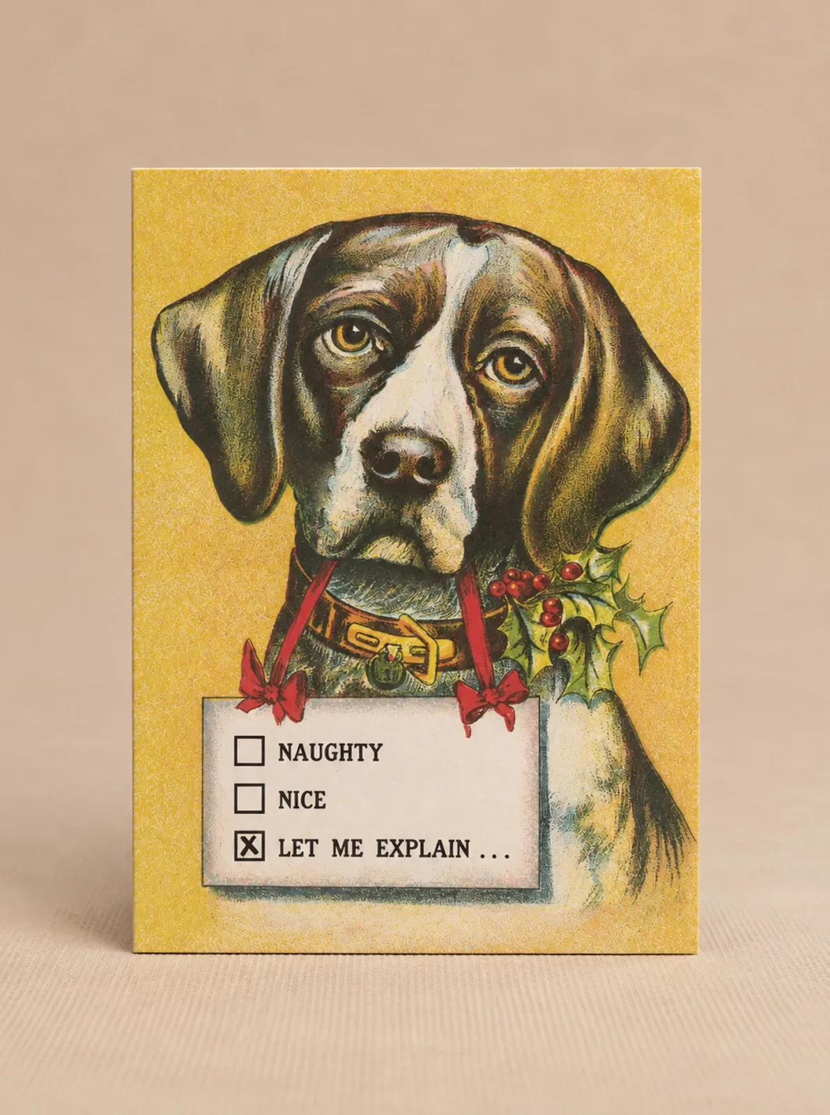 LET ME EXPLAIN HOLIDAY CARD