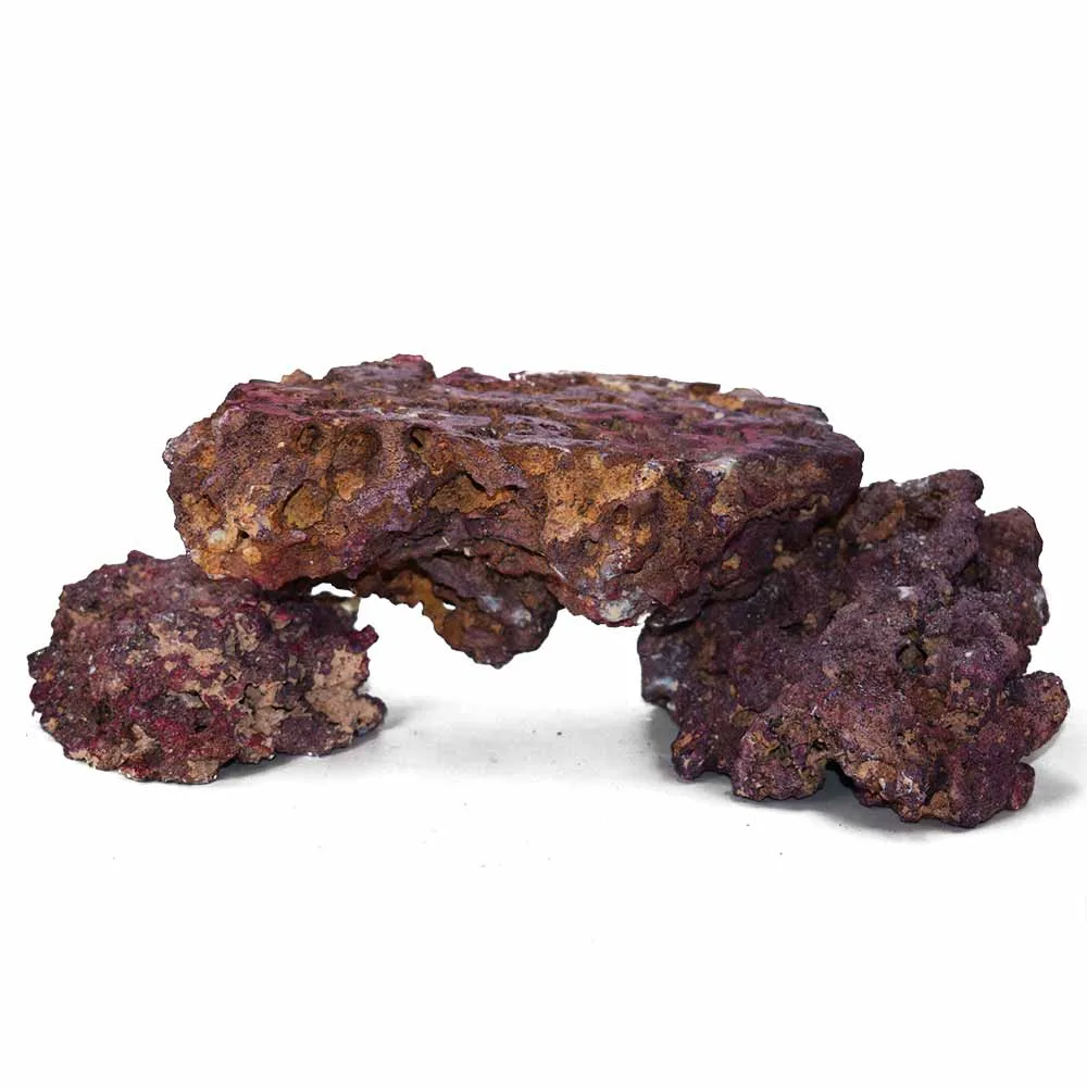 Life Rock "Shelf Rock" (20 lb) - Caribsea