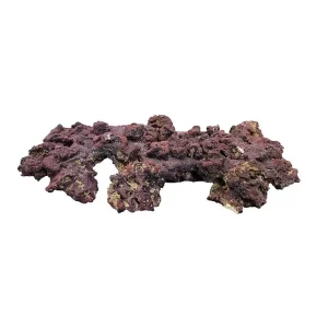 LifeRock Large Shelf 21" - Caribsea