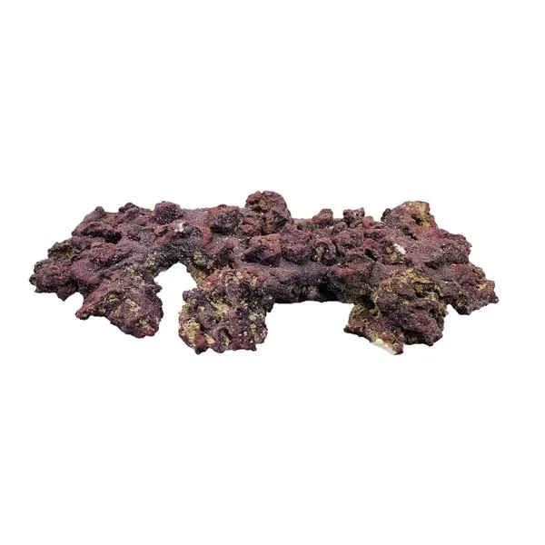 LifeRock Large Shelf 21" - Caribsea