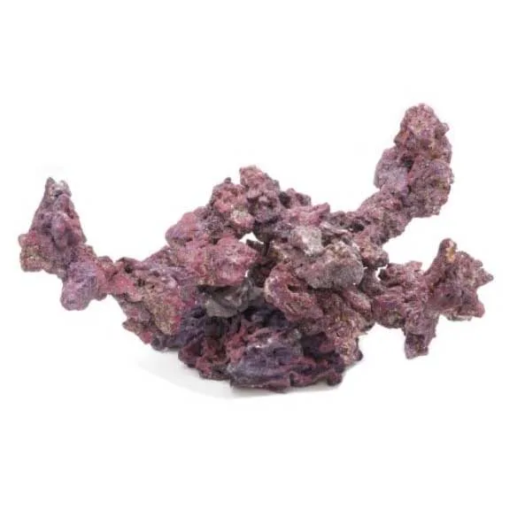 LifeRock Reef Forest Kit with Arches - Caribsea