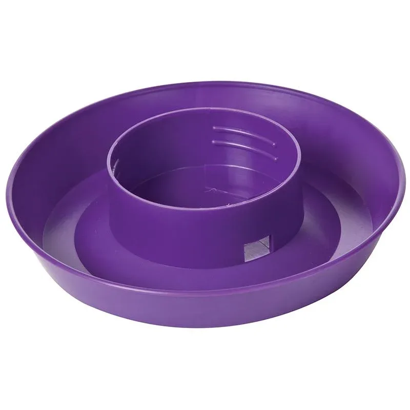 Little Giant Fount Plastic Base Mason Jar Purple 1 Quart