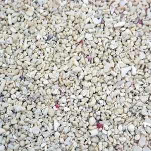 Live Aragonite Coarse Reef Sand 1-3mm (6.6 lb) Outstanding Selections - Two Little Fishies