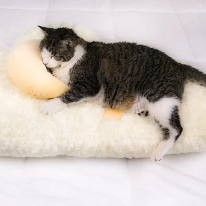 Luxe Cloud Cat Bed