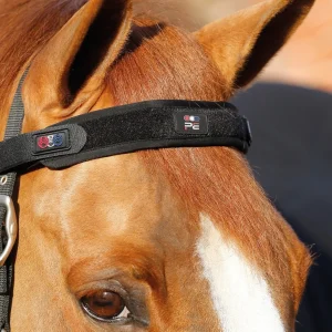 Magni-Teque Magnetic Browband