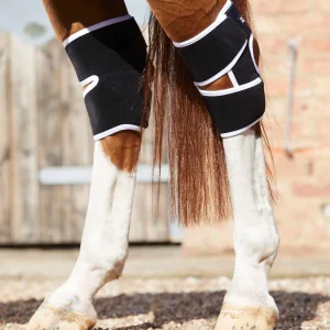 Magni-Teque Magnetic Hock Boots