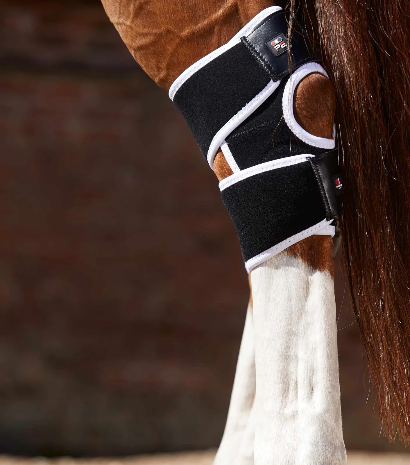 Magni-Teque Magnetic Hock Boots - Image 2