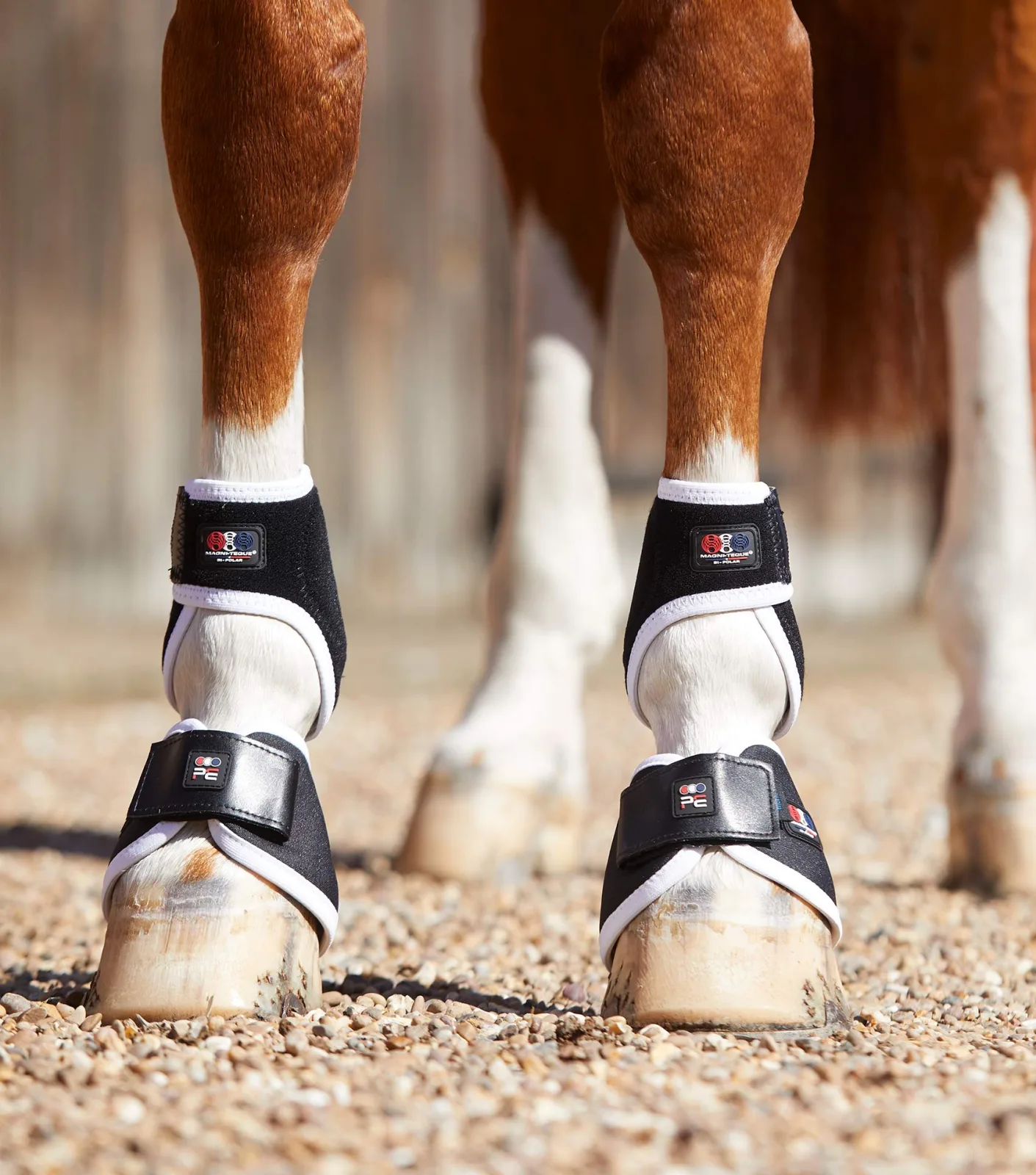 Magni-Teque Magnetic Hoof Boots - Image 2