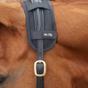 Magni-Teque Magnetic Poll Band