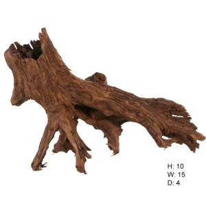 Malaysian Driftwood, Super WYSIWYG 10" x 15"
