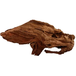 Malaysian Driftwood, Super WYSIWYG 10" x 22"