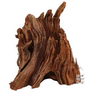 Malaysian Driftwood, Super WYSIWYG 14" x 11"