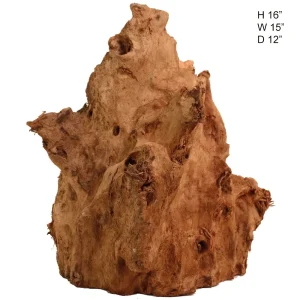 Malaysian Driftwood, Super WYSIWYG 16" x 15"
